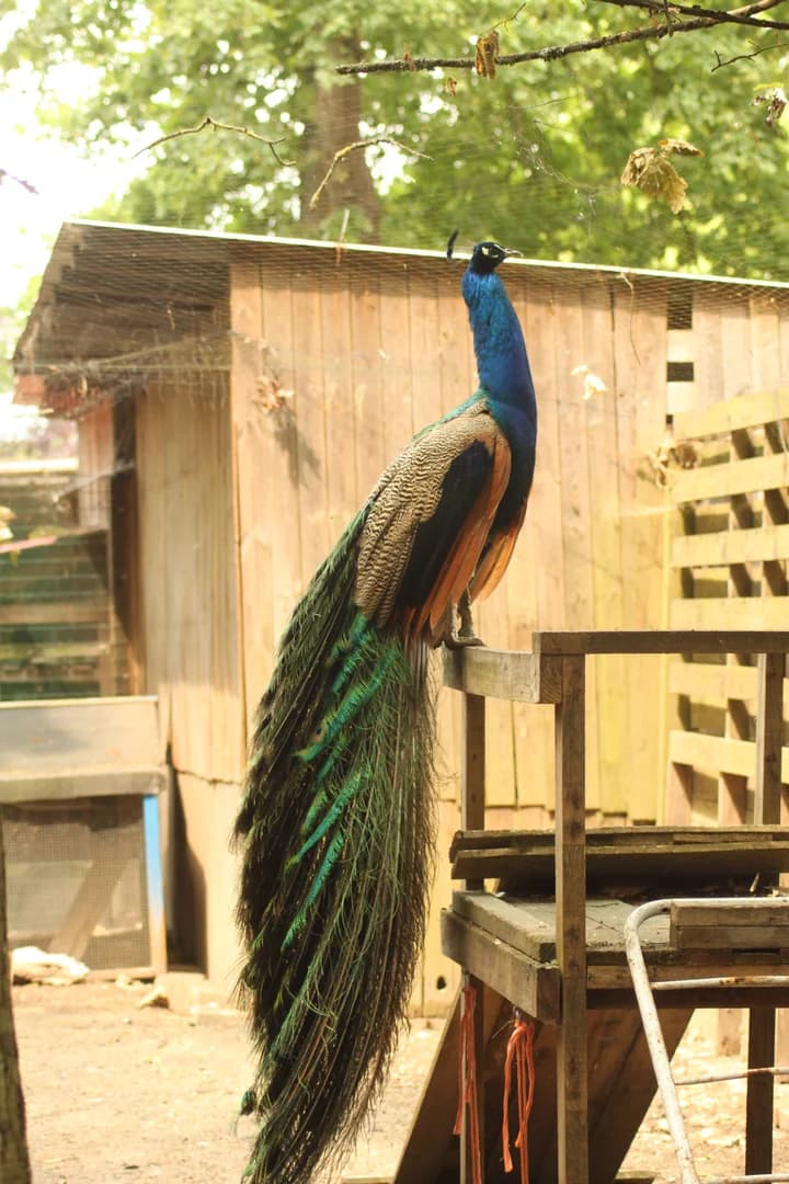 Quel beau profil