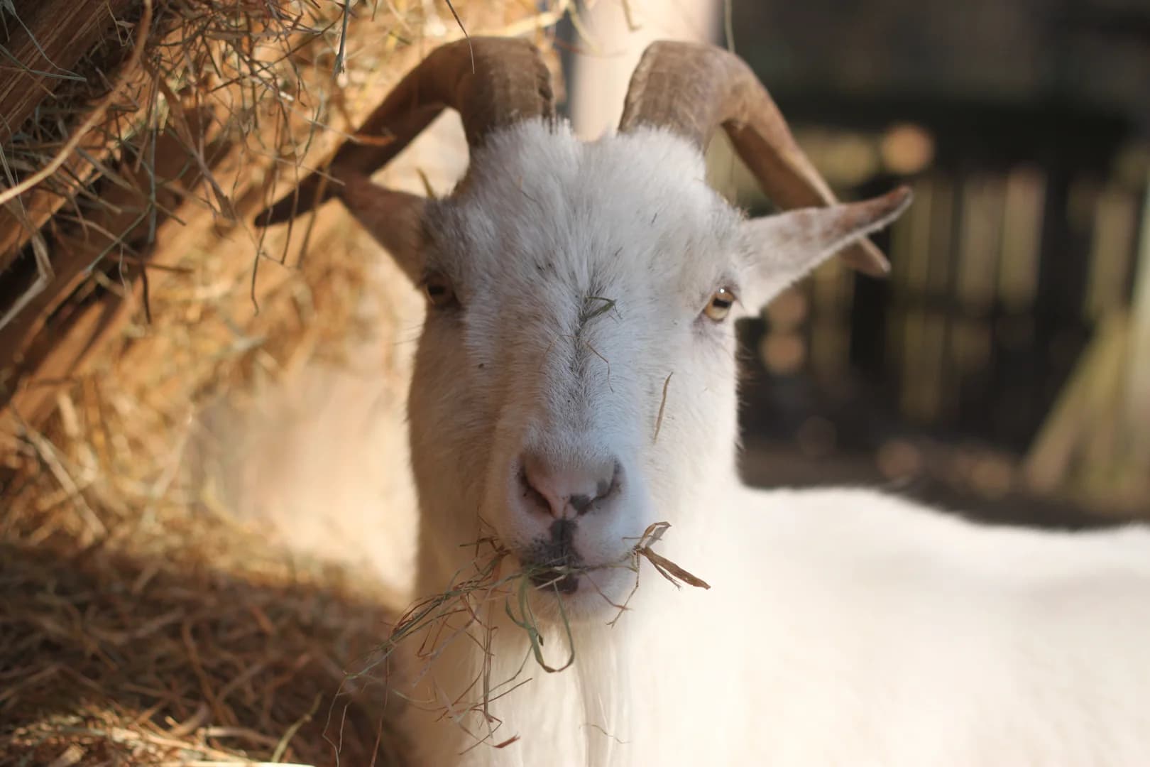 Winter avait une petite faim
